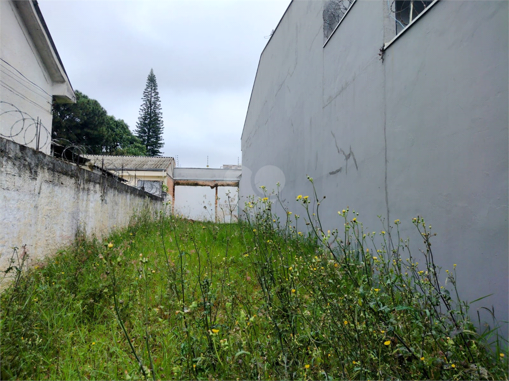 Venda Terreno São Paulo Vila Lúcia REO1036788 6