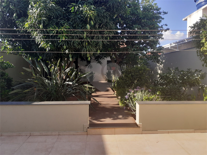 Foto REO1036792