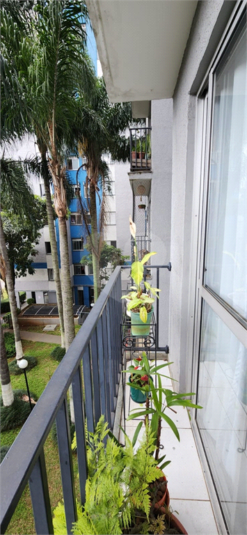 Venda Apartamento Diadema Taboão REO1036829 8