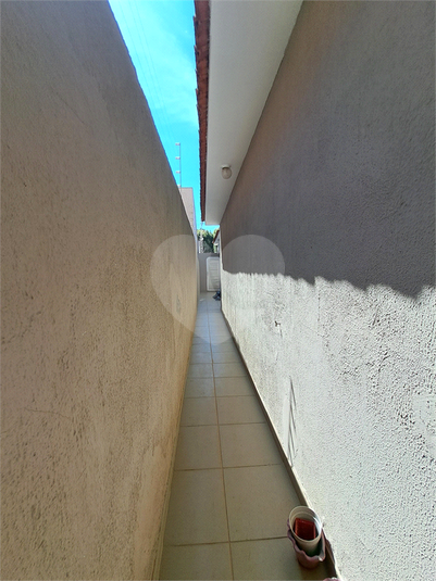 Foto REO1036833
