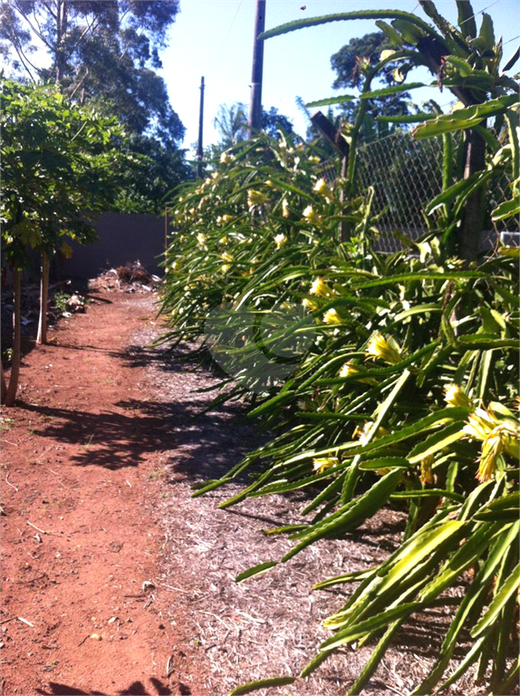 Venda Chácara Araraquara Parque Planalto REO1036877 52