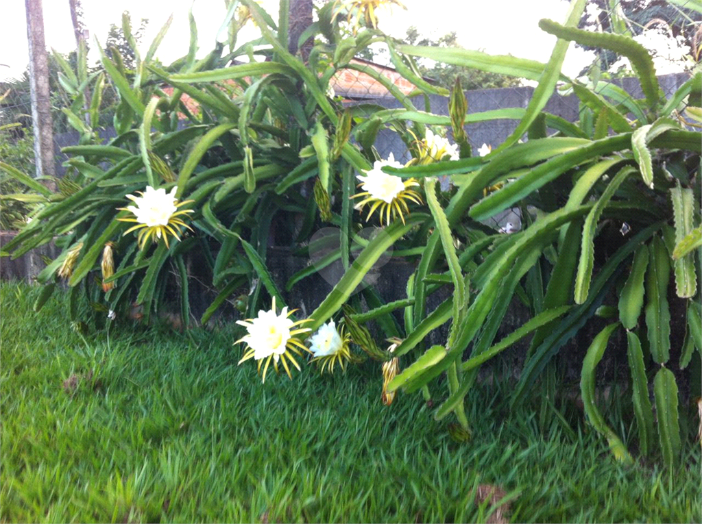 Venda Chácara Araraquara Parque Planalto REO1036877 45