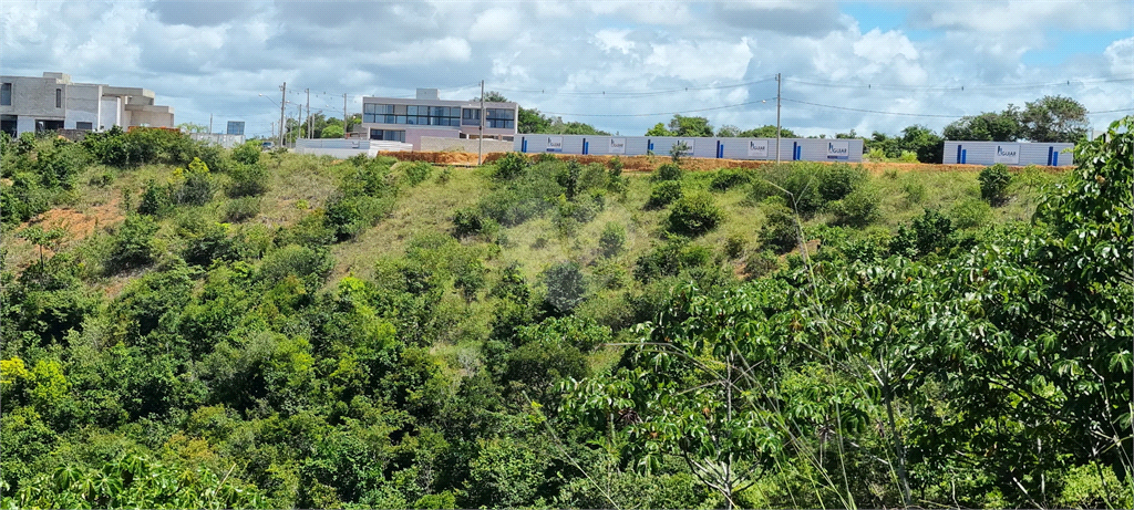 Venda Loteamento Maceió Jacarecica REO1036983 14