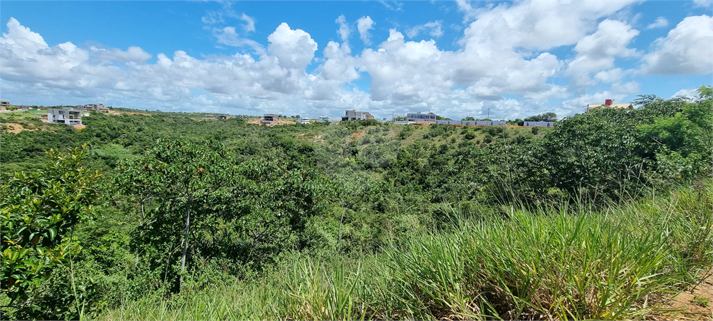 Venda Loteamento Maceió Jacarecica REO1036983 10