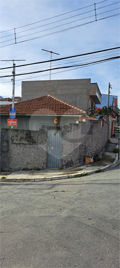 Foto REO1036991