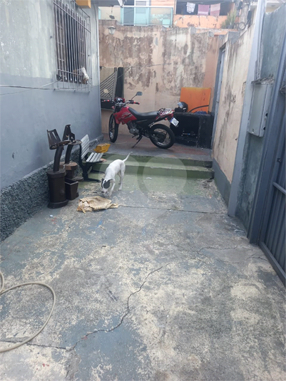Foto REO1036991