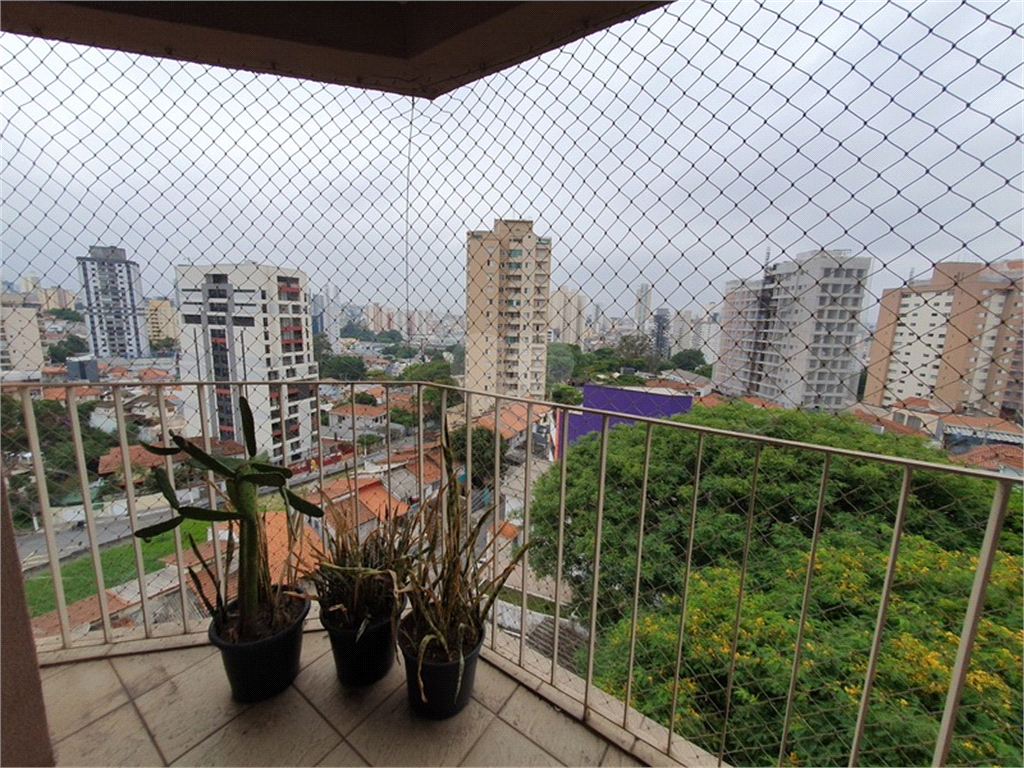 Venda Apartamento São Paulo Vila Paulicéia REO1037021 4