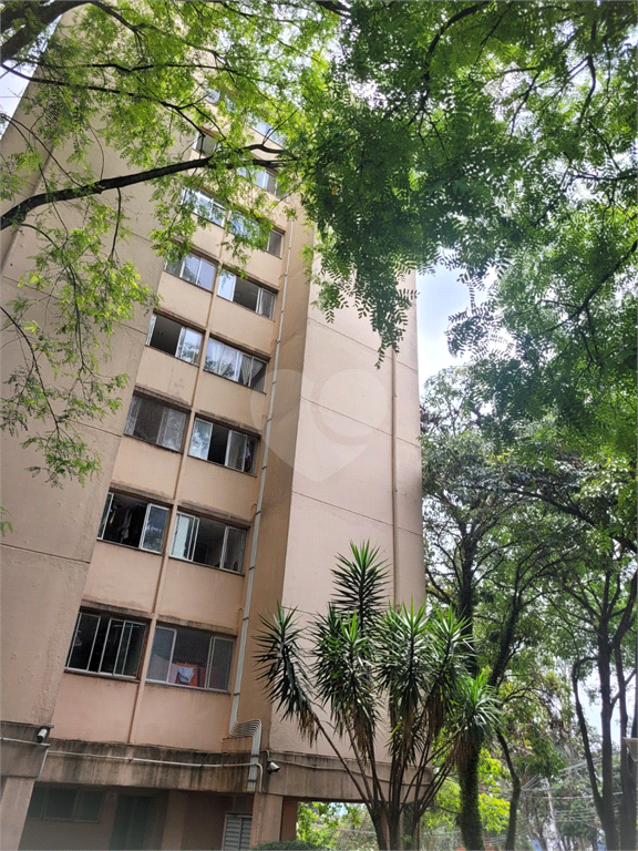 Venda Apartamento São Paulo Barro Branco (zona Norte) REO1037028 18