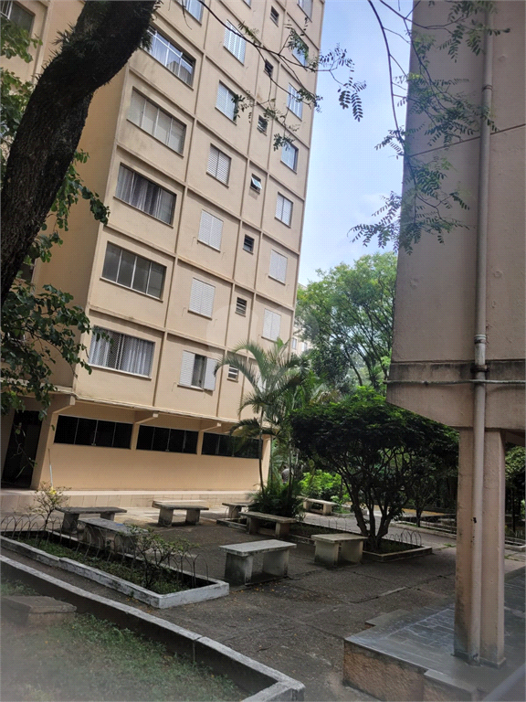 Venda Apartamento São Paulo Barro Branco (zona Norte) REO1037028 12