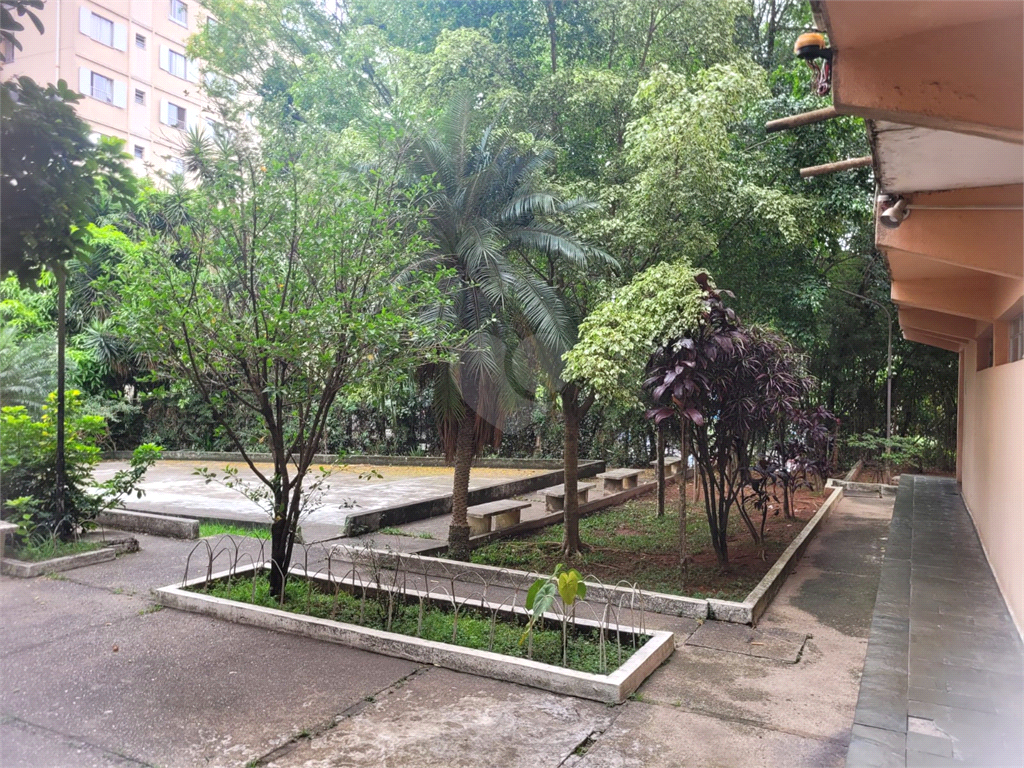 Venda Apartamento São Paulo Barro Branco (zona Norte) REO1037028 7