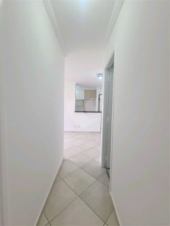 Aluguel Apartamento São Paulo Jardim Umuarama REO1037104 12