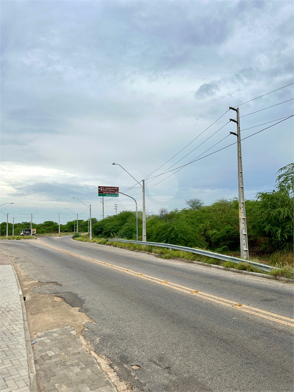 Venda Terreno Petrolina Boa Esperança REO1037236 12