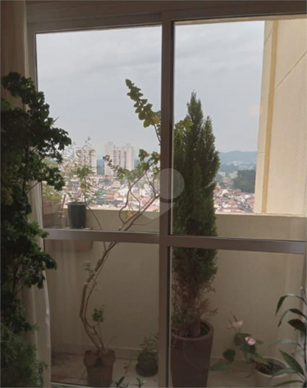 Venda Apartamento São Paulo Vila Mazzei REO1037345 4