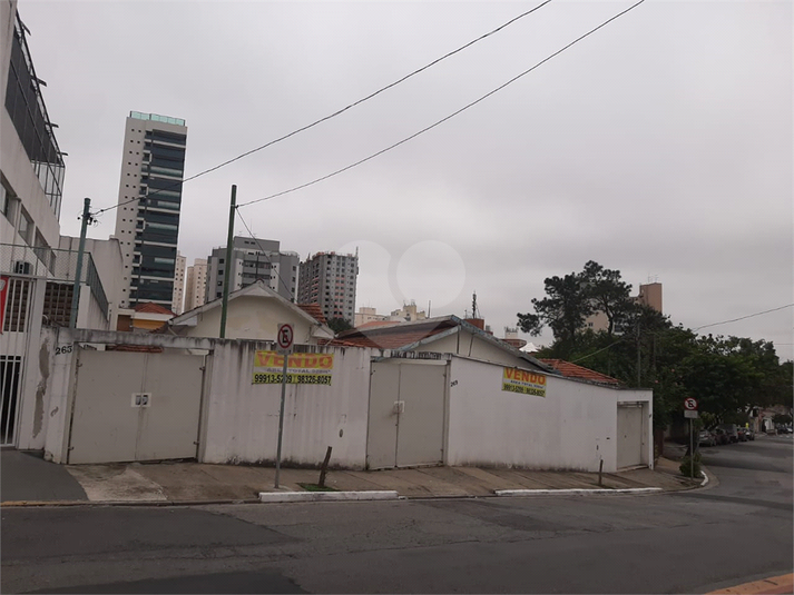 Foto REO1037348