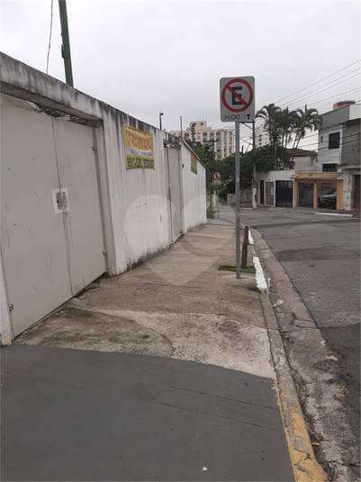 Foto REO1037348