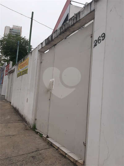 Foto REO1037348