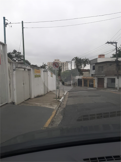 Foto REO1037348