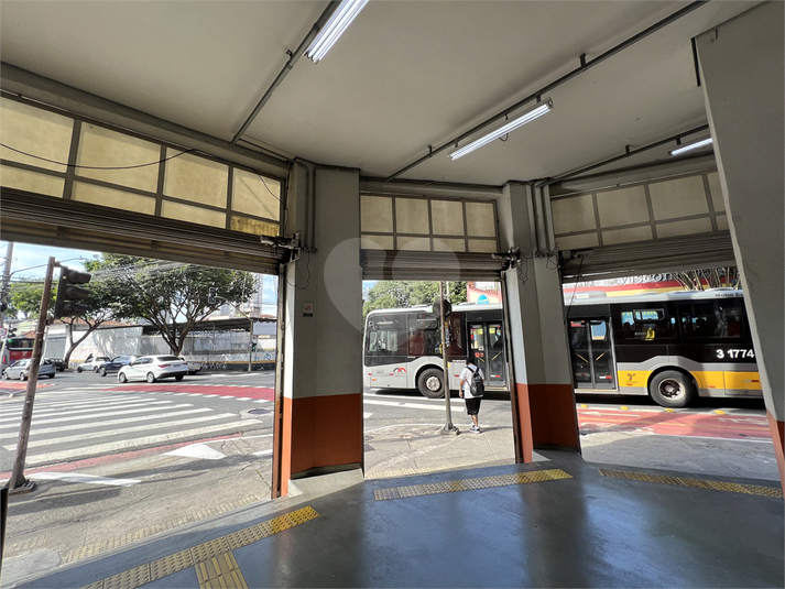 Foto REO1037459