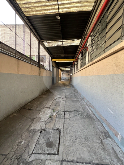 Foto REO1037459