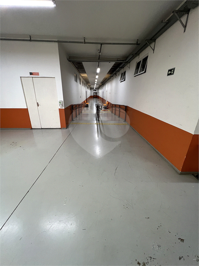 Foto REO1037459