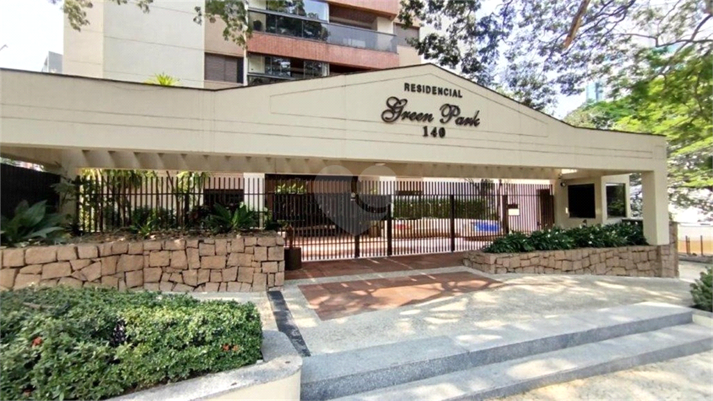 Aluguel Apartamento Campinas Cambuí REO1037489 1