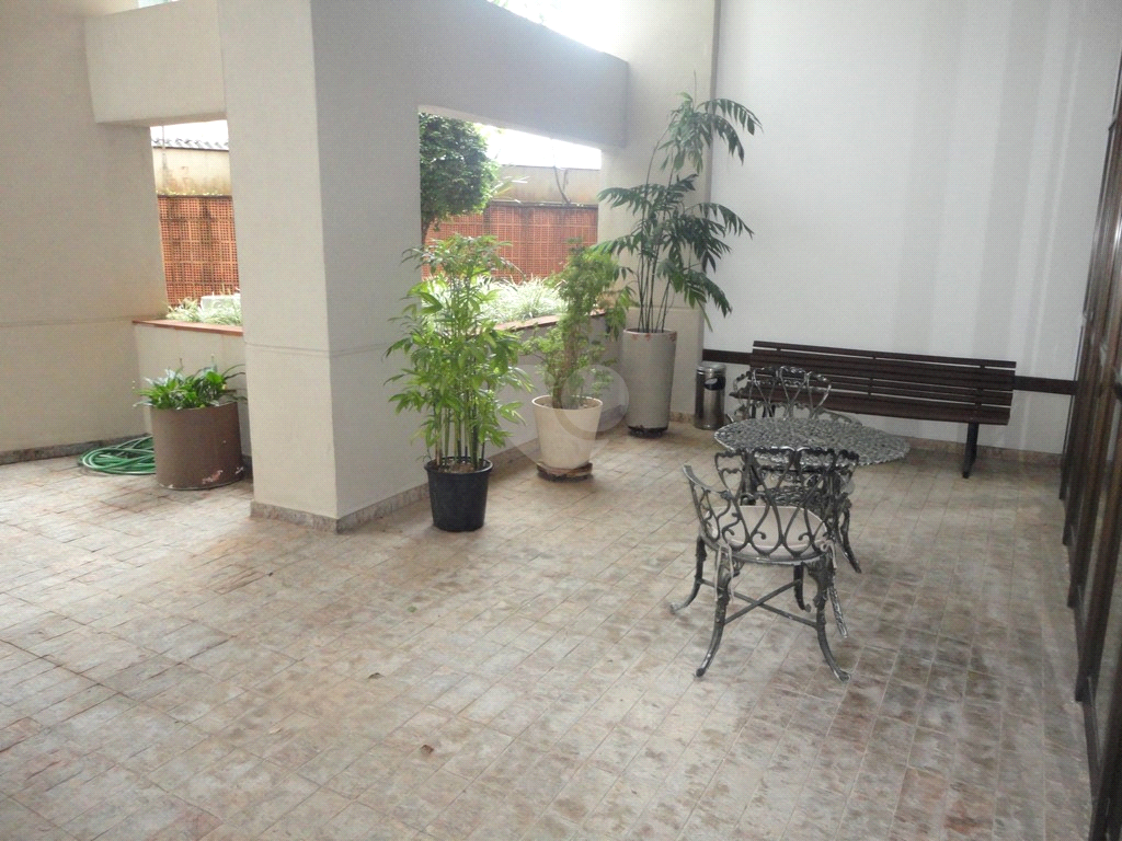 Aluguel Apartamento Campinas Cambuí REO1037489 21