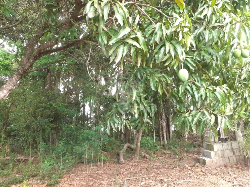 Venda Área de Terra Jarinu Bairro Da Ponte Alta REO1037492 3