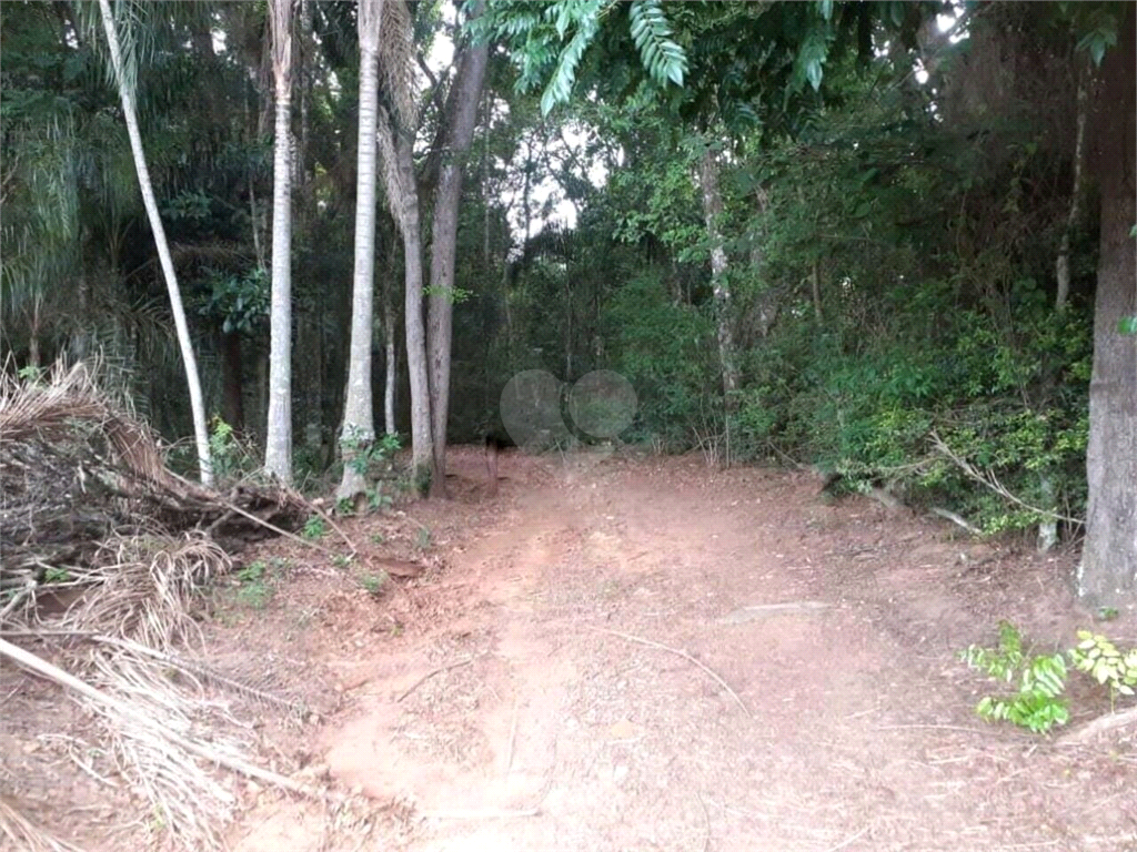 Venda Área de Terra Jarinu Bairro Da Ponte Alta REO1037492 8