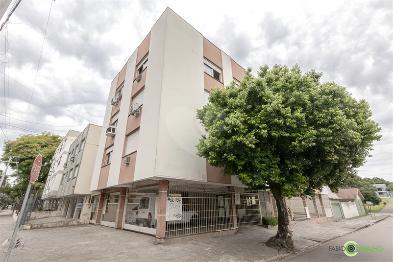 Foto REO1037590