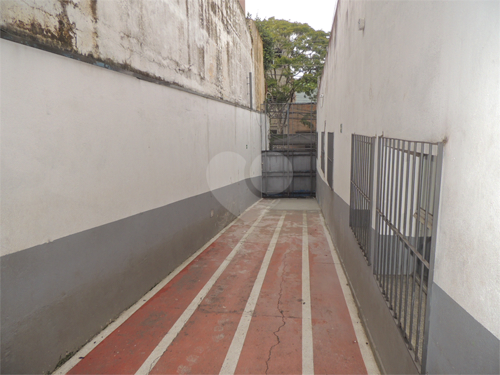 Foto REO103767