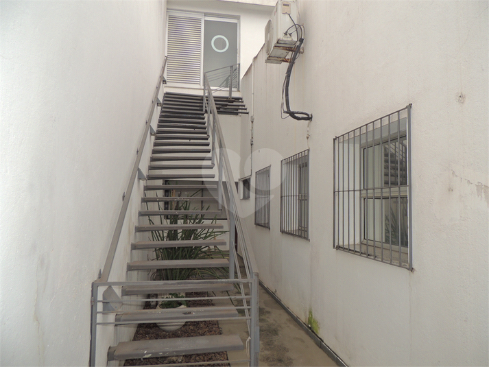 Foto REO103767