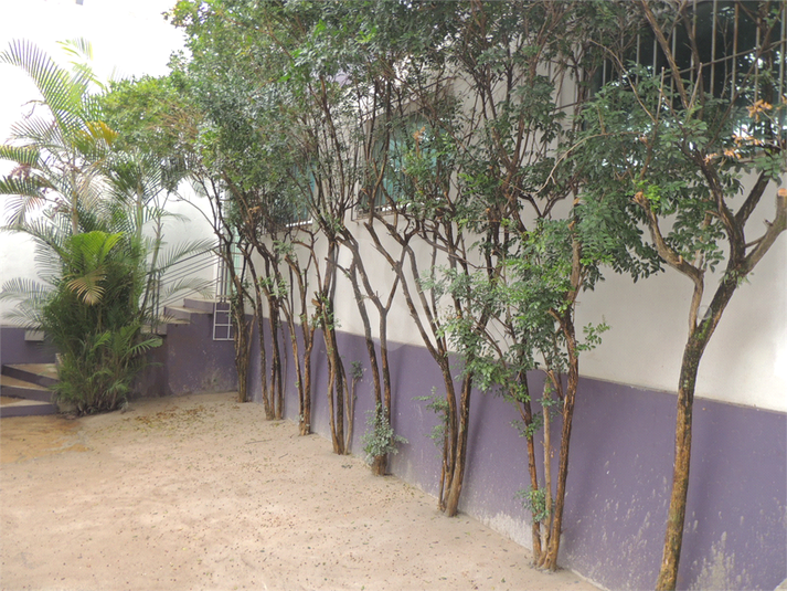 Foto REO103767