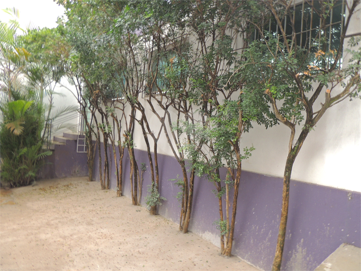 Foto REO103767