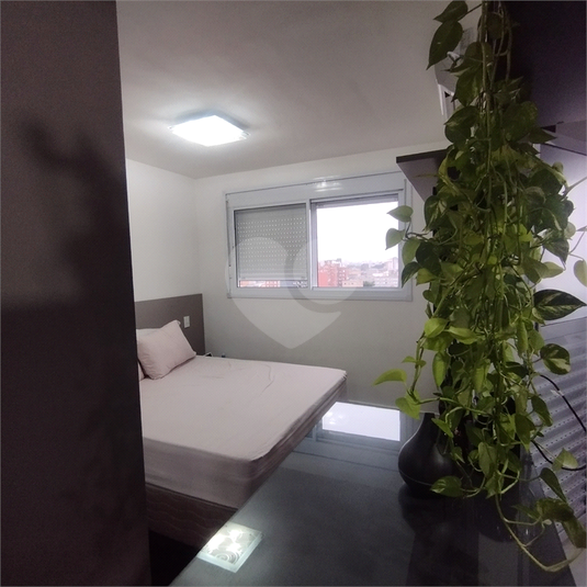 Aluguel Apartamento São Paulo Brás REO1037792 15