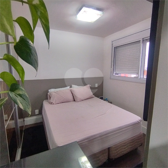 Aluguel Apartamento São Paulo Brás REO1037792 1