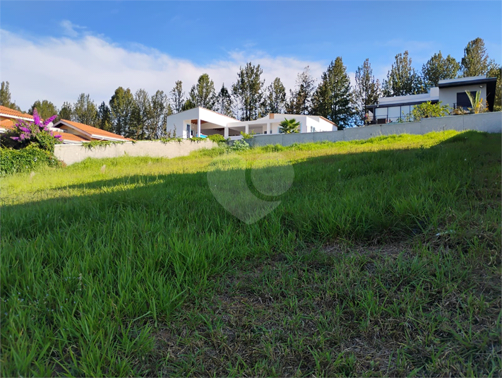 Foto REO1037910