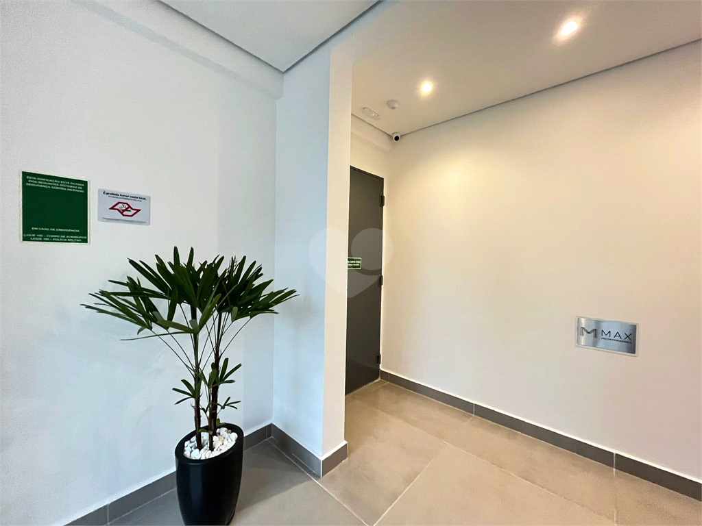 Venda Apartamento São Paulo Vila Paulicéia REO1037941 2