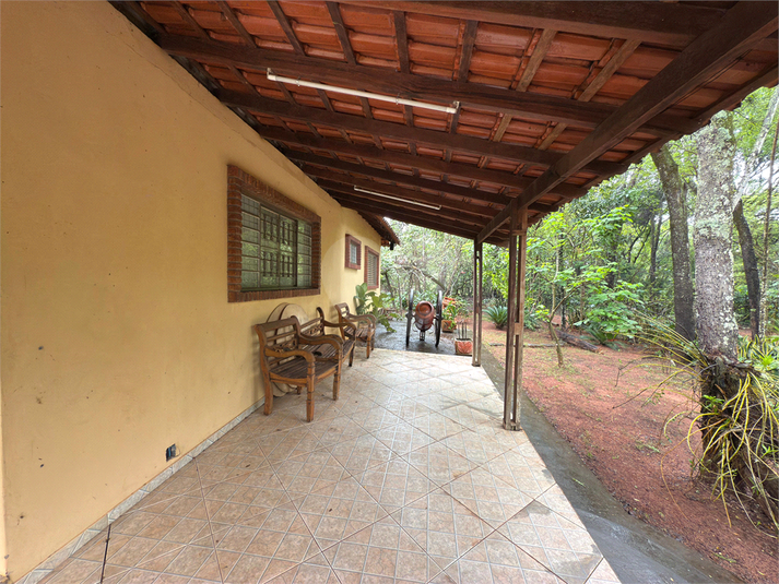 Foto REO1038018