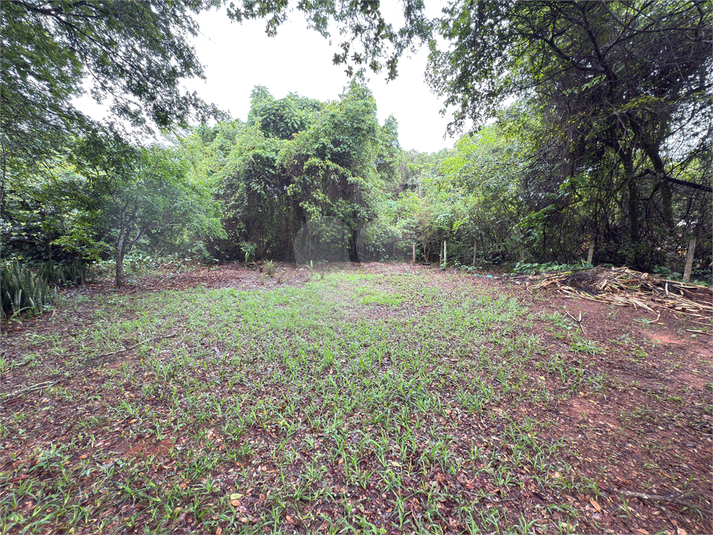 Foto REO1038018