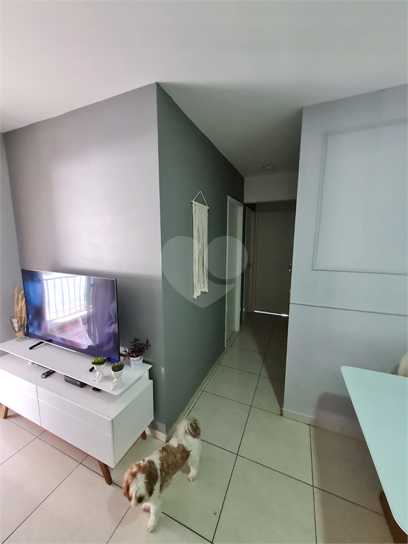 Venda Apartamento São Paulo Vila Siqueira (zona Norte) REO1038192 3