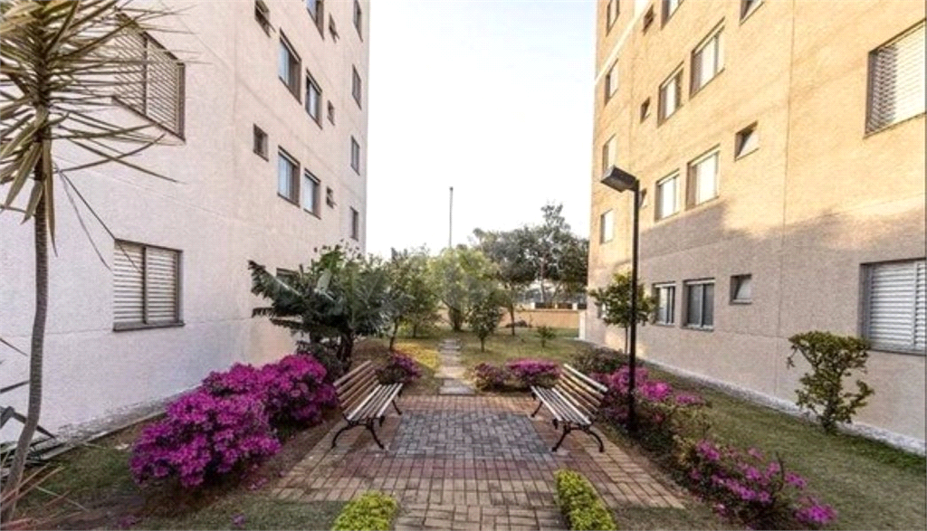 Venda Apartamento São Paulo Vila Moreira REO1038197 27