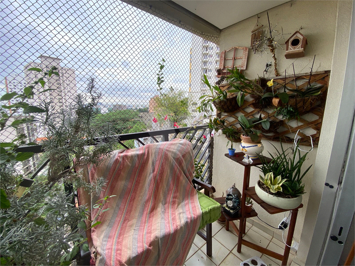 Foto REO1038198