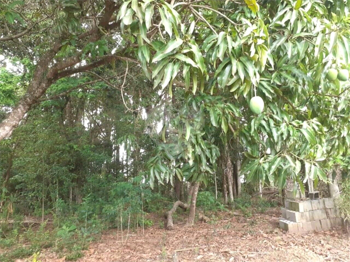 Venda Área de Terra Jarinu Bairro Da Ponte Alta REO1038279 2