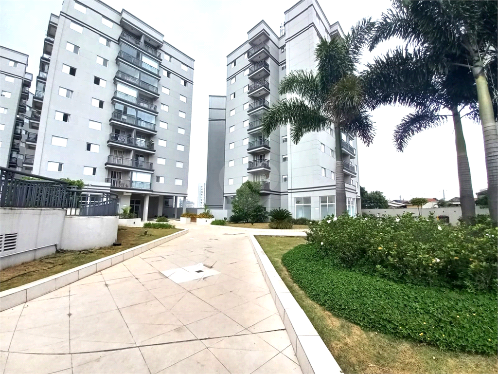 Aluguel Apartamento São Paulo Vila Bela REO1038335 19