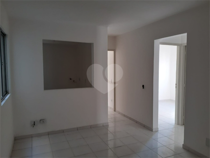 Venda Apartamento Campinas Vila Santana REO1038384 25