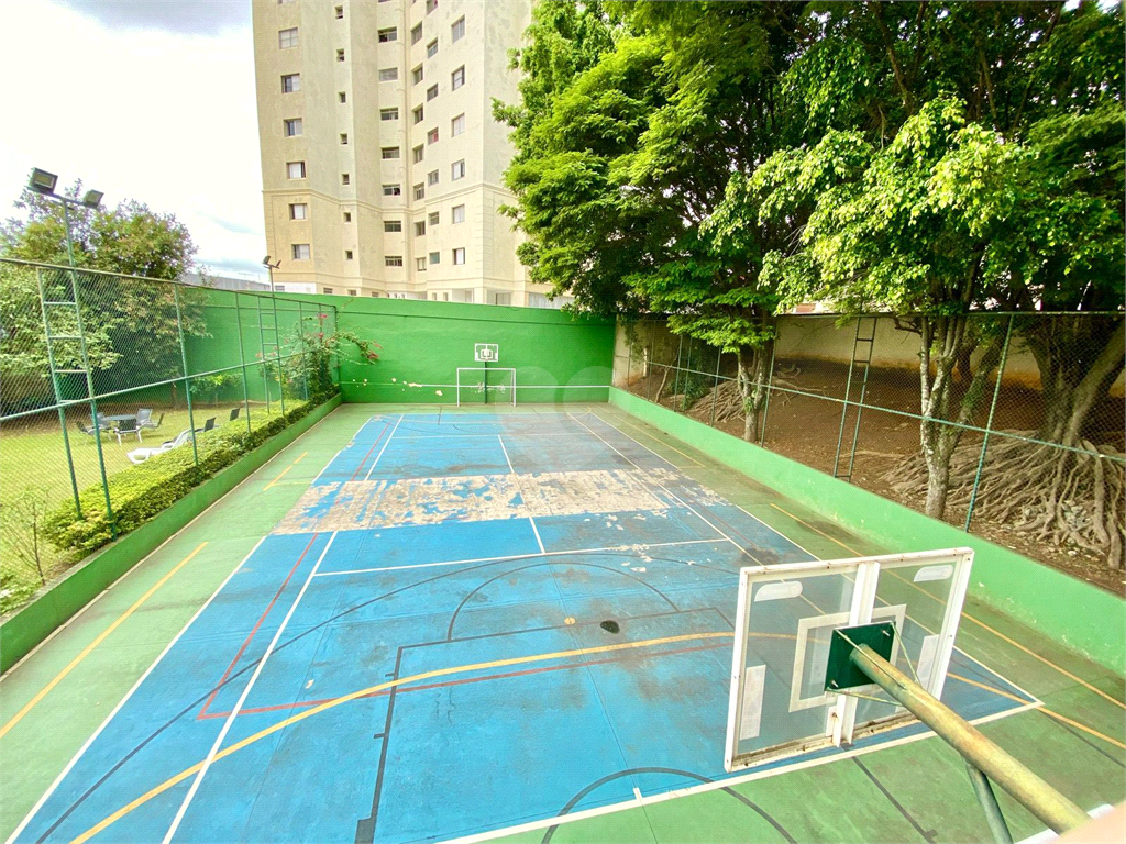 Venda Apartamento São Paulo Jardim Brasil (zona Sul) REO1038400 12