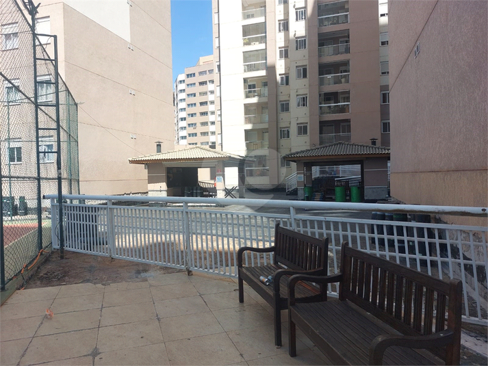 Aluguel Apartamento Indaiatuba Bairro Pau Preto REO1038569 6