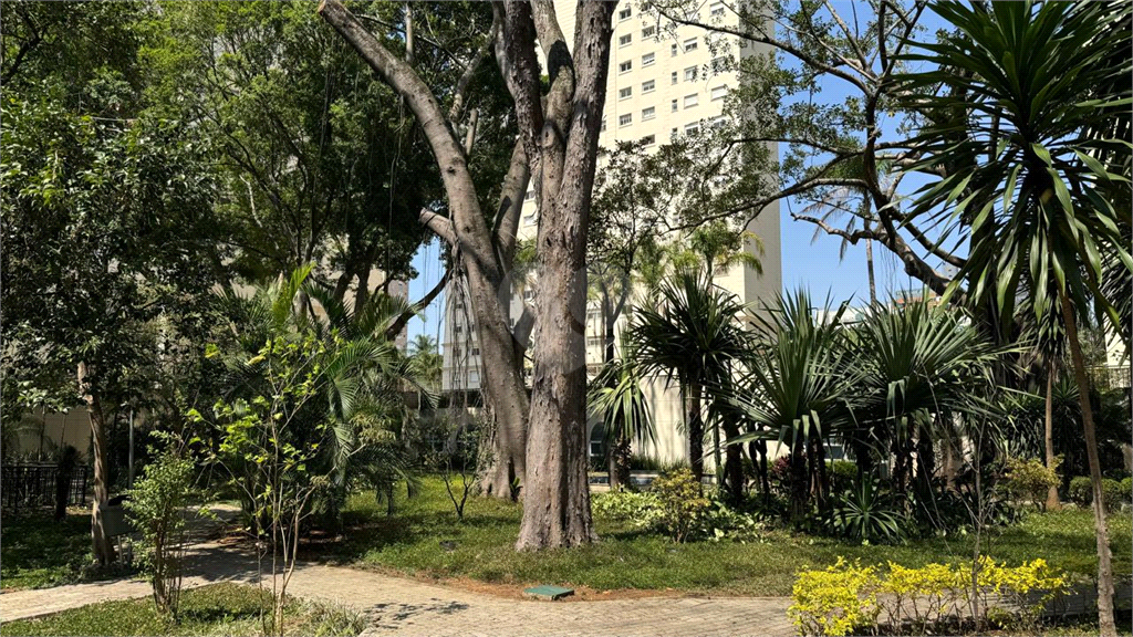 Venda Apartamento São Paulo Vila Romana REO1038623 24