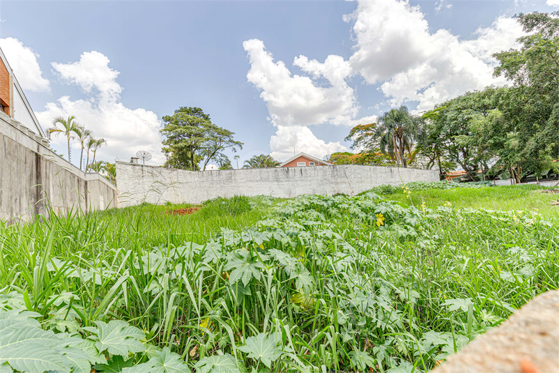 Venda Terreno São Paulo Jardim Prudência REO1038631 7