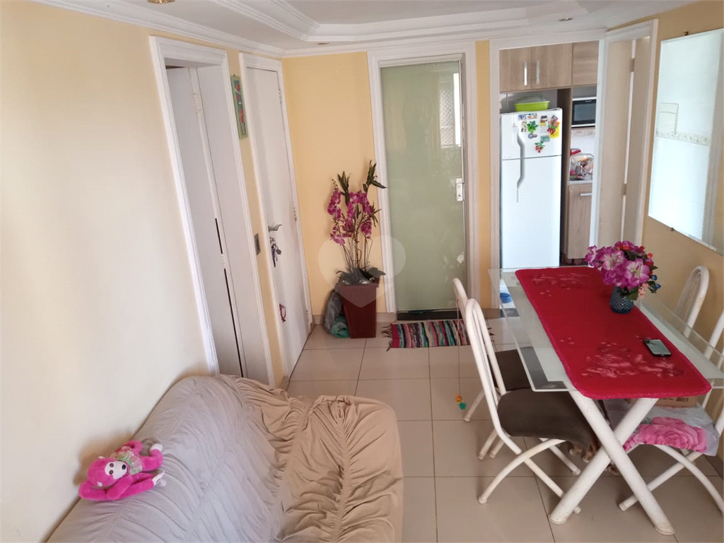 Venda Apartamento São Paulo Super Quadra Morumbi REO1038676 12